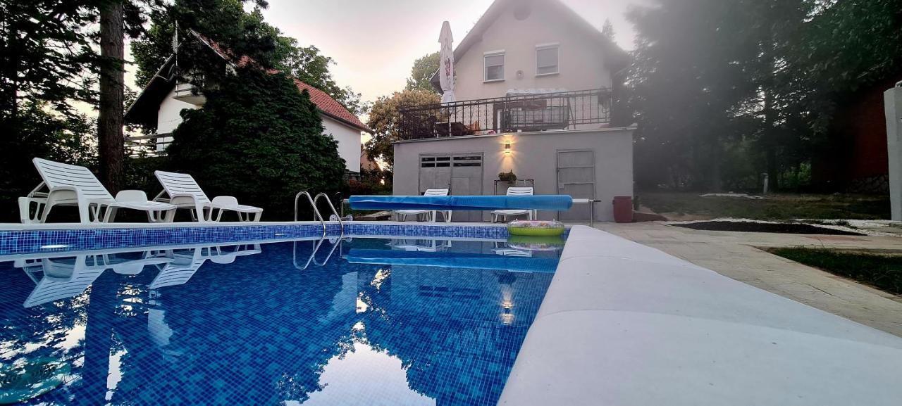 Villa Vila Sinfonia, A House With A Pool Velika Remeta Exterior foto